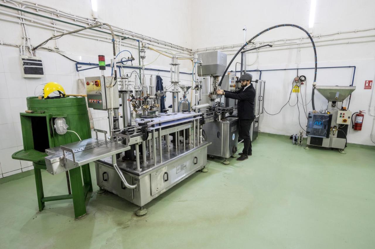 Pensiunea Rhein Azuga Ngoại thất bức ảnh
