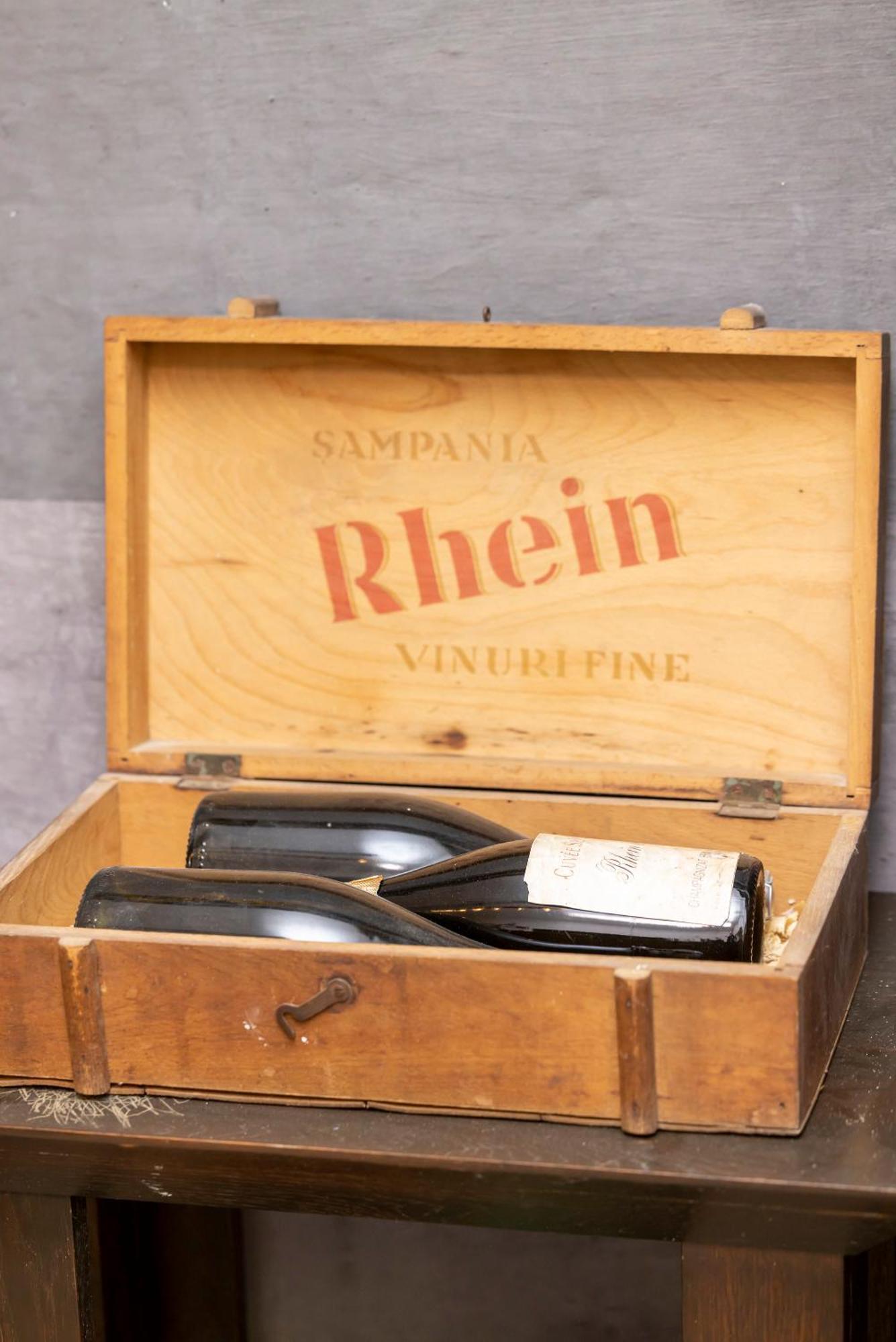 Pensiunea Rhein Azuga Ngoại thất bức ảnh